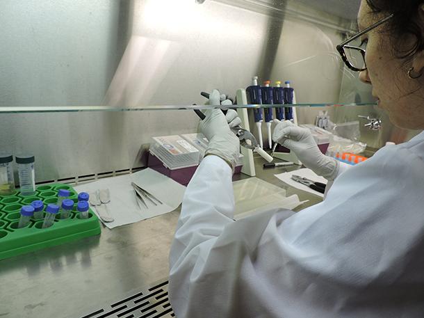 Diana Ayala-Munoz works on samples used for her research in microbial interactions. 