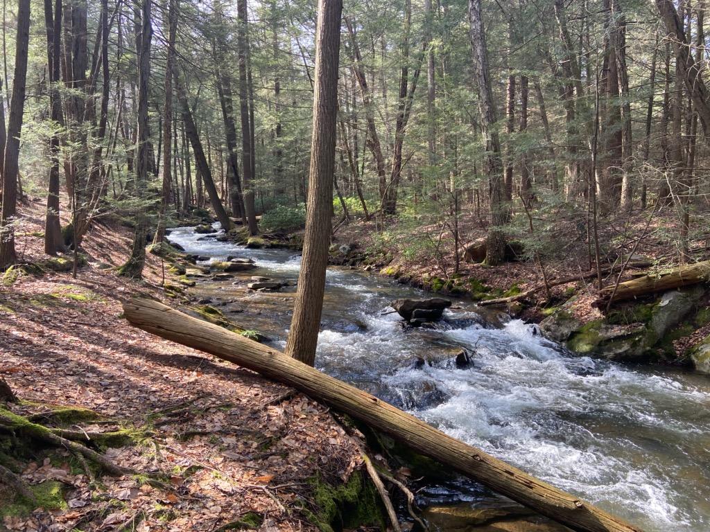Moose Creek, Clearfield, PA 