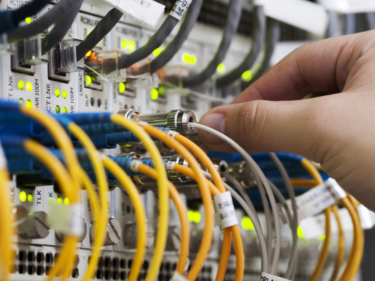 Networking option of associate's degree in IST