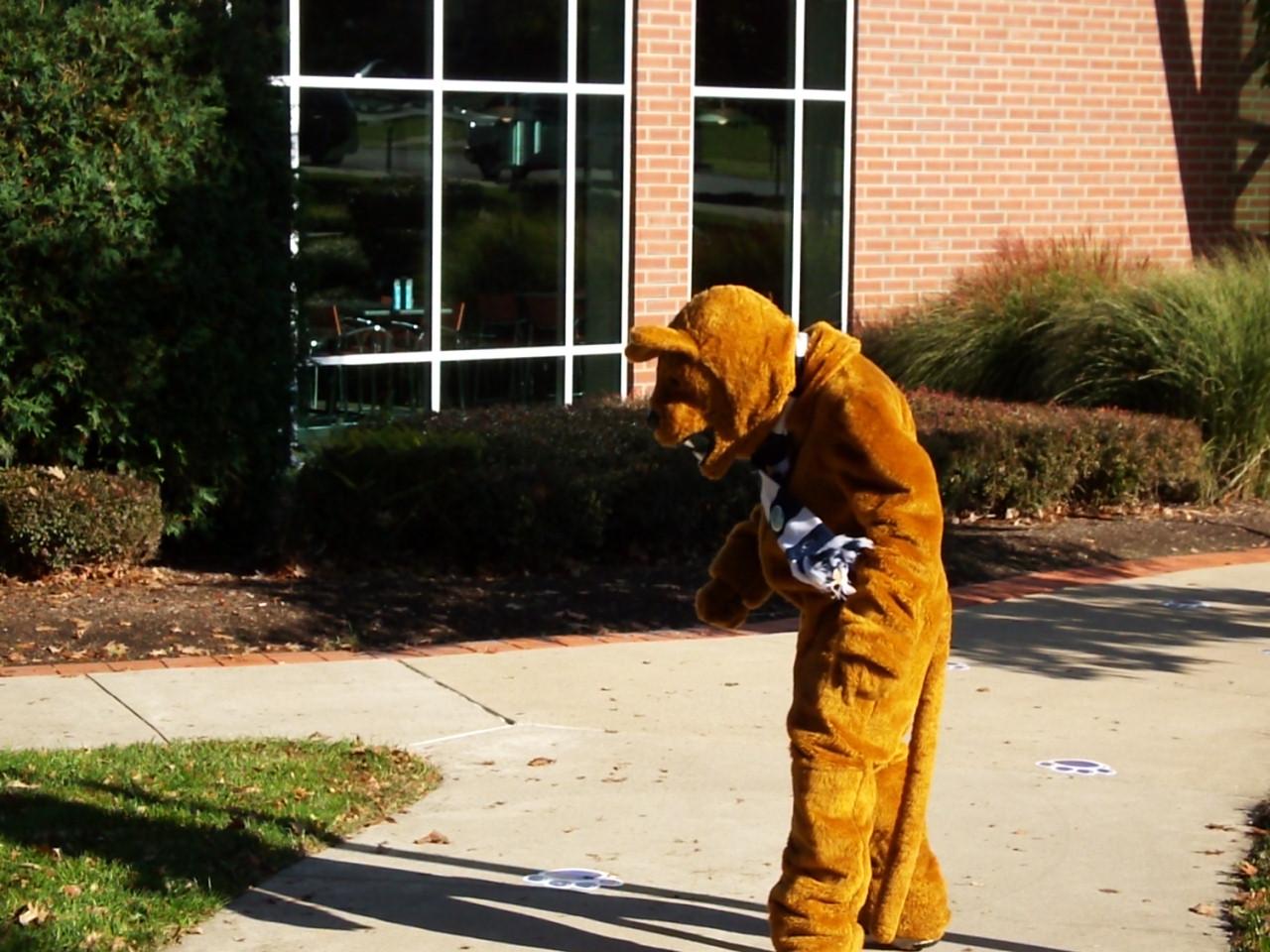 lion mascot seeing shadow