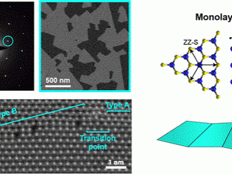 Tungsten disulfide monolayer imagery and modeling 