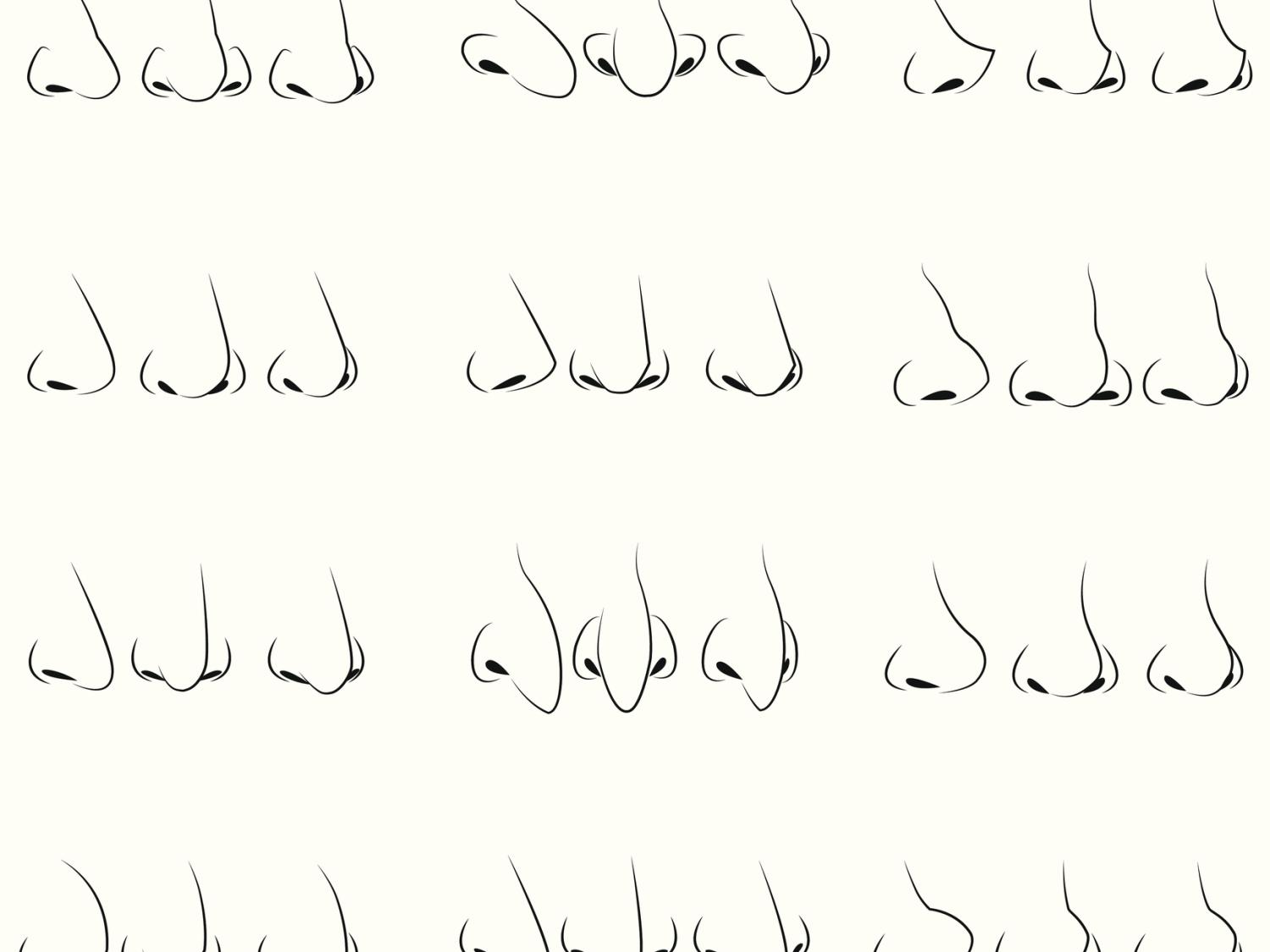 noses