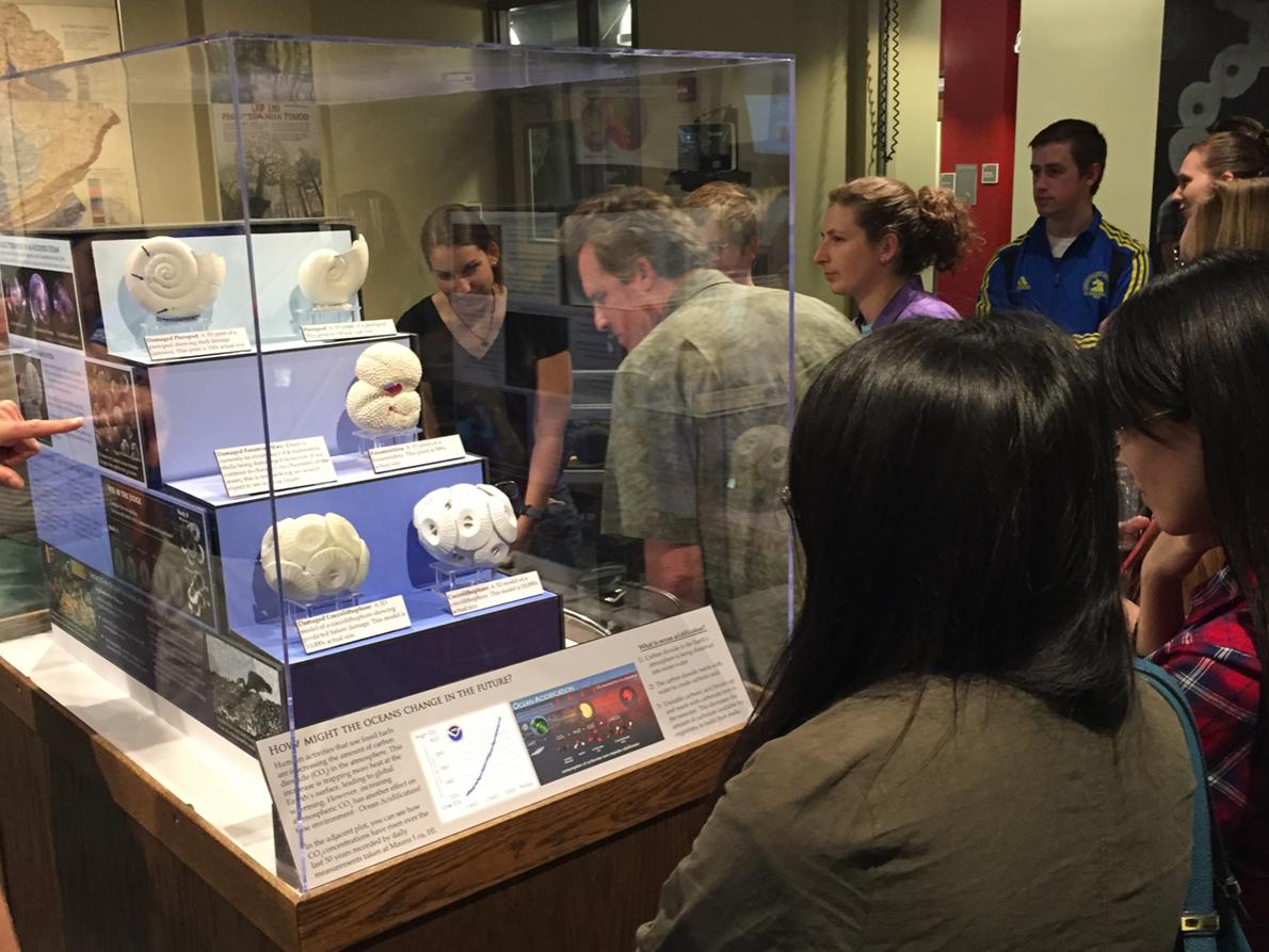 students observe new exhibit at museum and art gallery