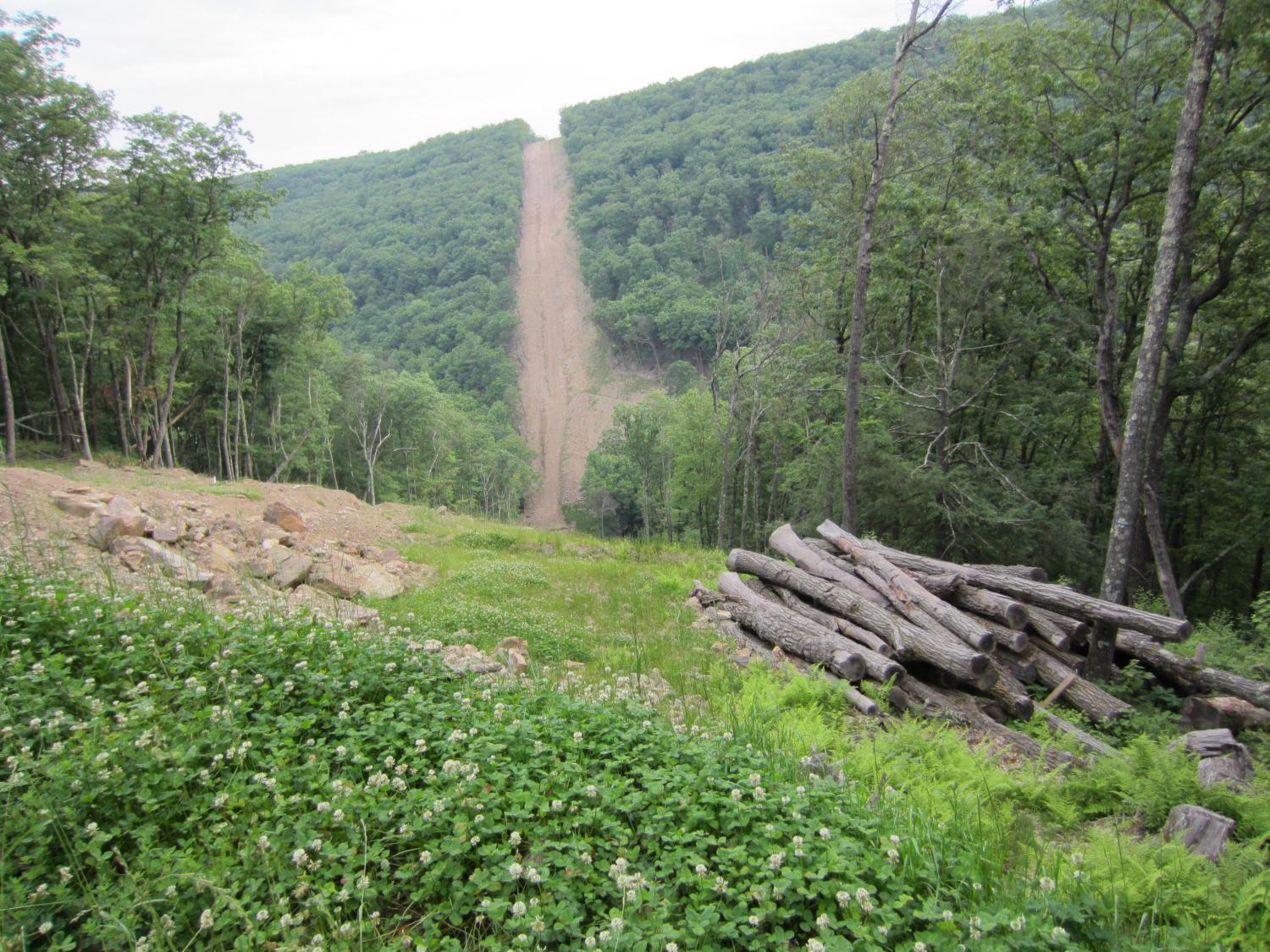 pipeline forest break