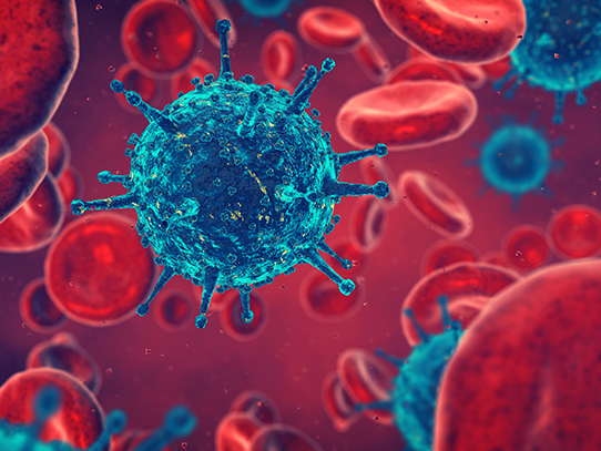 Illustration of blue bacteria surrounded by disc-like red blood cells