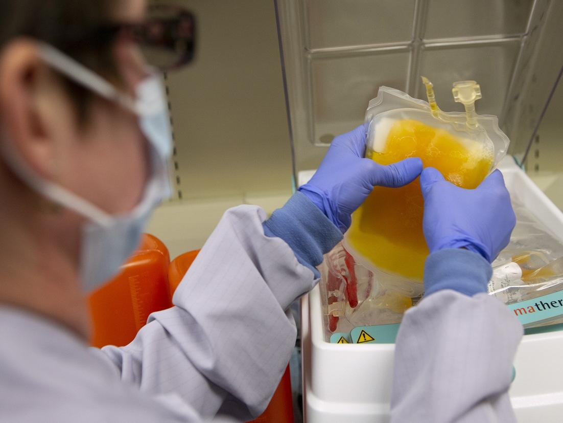 Lisa Omelko, a lab technician in the Blood Bank at St. Joseph Medical Center, wears blue gloves and squeezes a bag of gold-colored plasma before it is used for a patient transfusion in one of the medical center’s COVID-19 units.