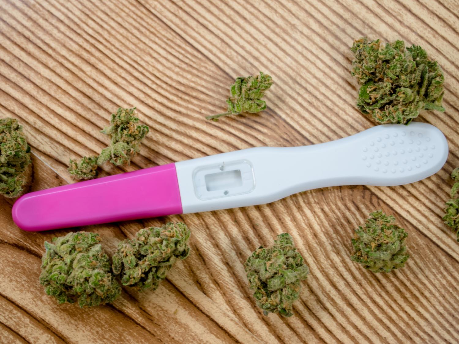 A pregnancy test and dried marijuana leaves on a wooden table.