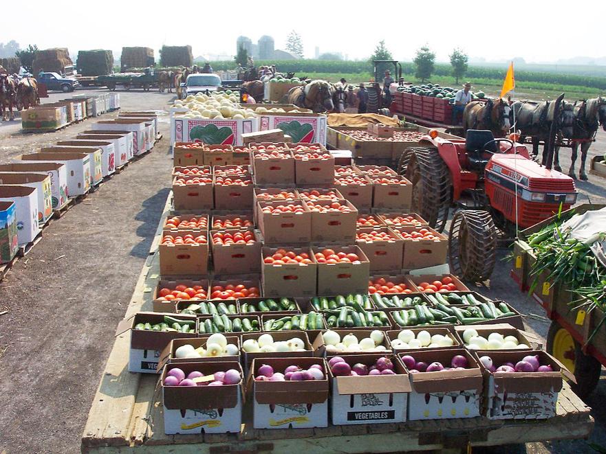 produce growers