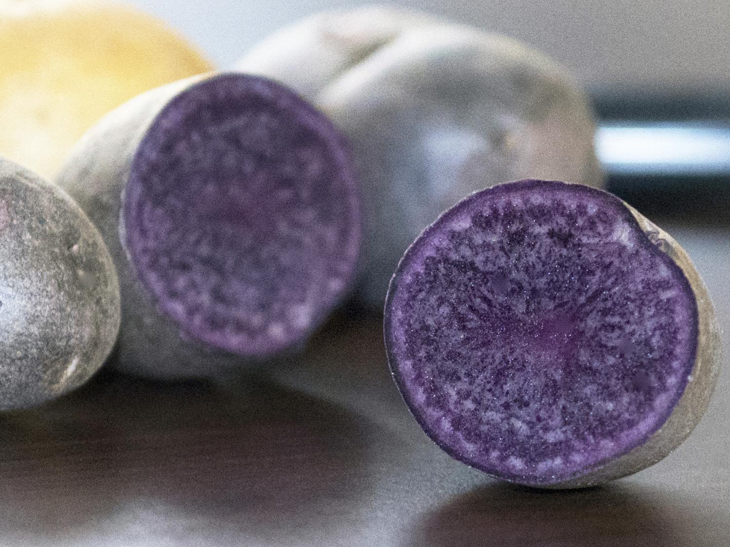 Purple Potato
