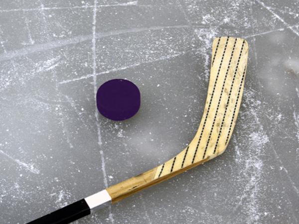 A hockey stick and a purple puck on the ice
