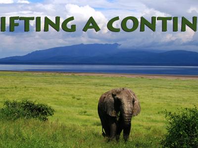 Elephant in Africa