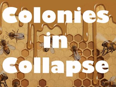 bees illustration header image