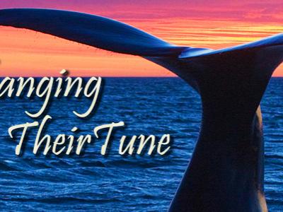 Whale tail