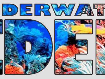photo of coral reef outlined by the words Underwater Eden