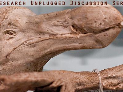 bones and skull from the now extinct dodo bird