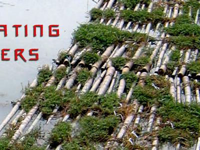 photo of bamboo raft in water with vegetation growing on it