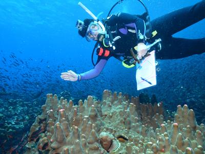 scuba diver floating over coral and waving to camera