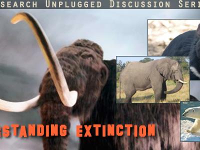 composite image of mammoth, elephant, and polar bear