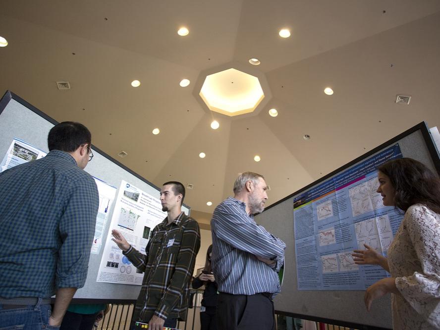 Students and faculty members talk between bulletin boards featuring posters.