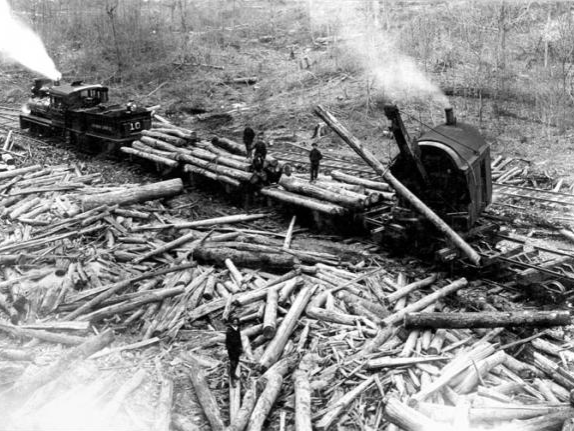 logging Pasto Museum