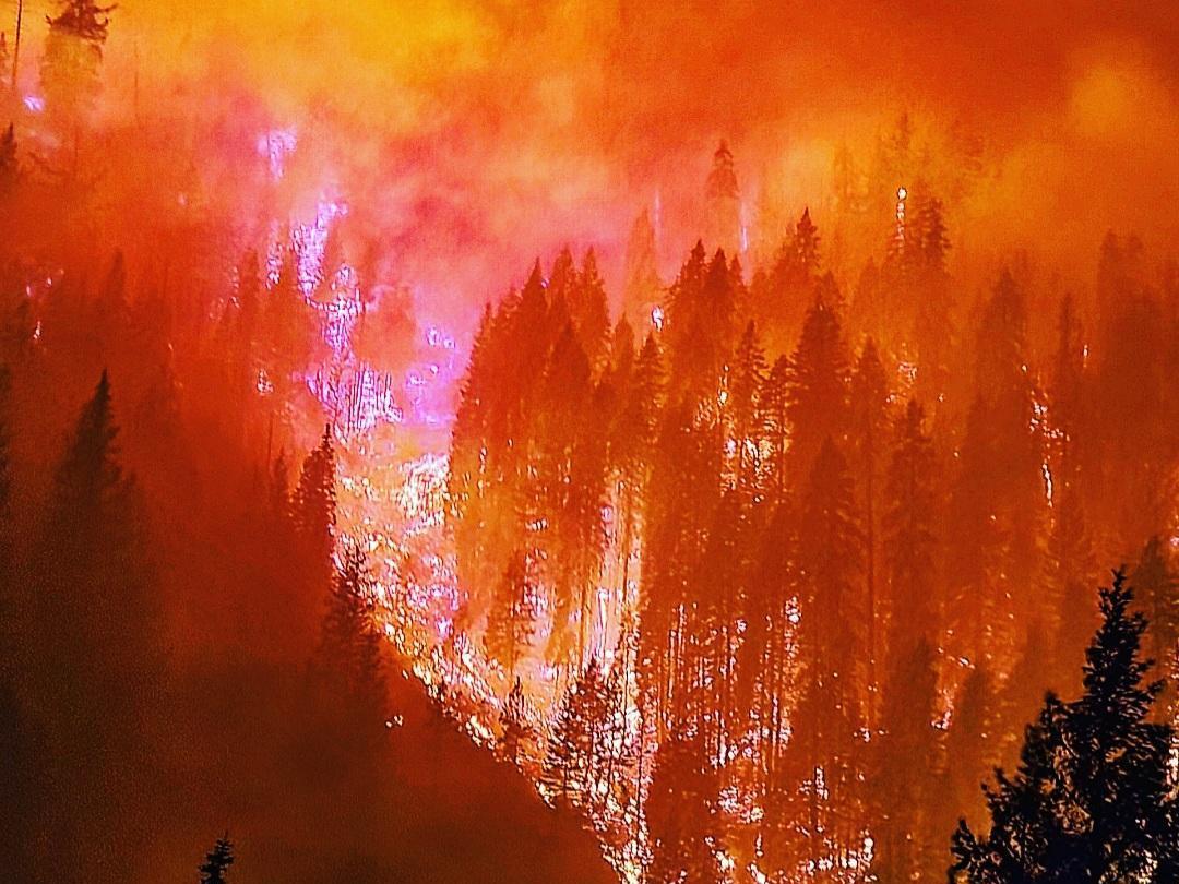 Wildfires burn on a mountain at night