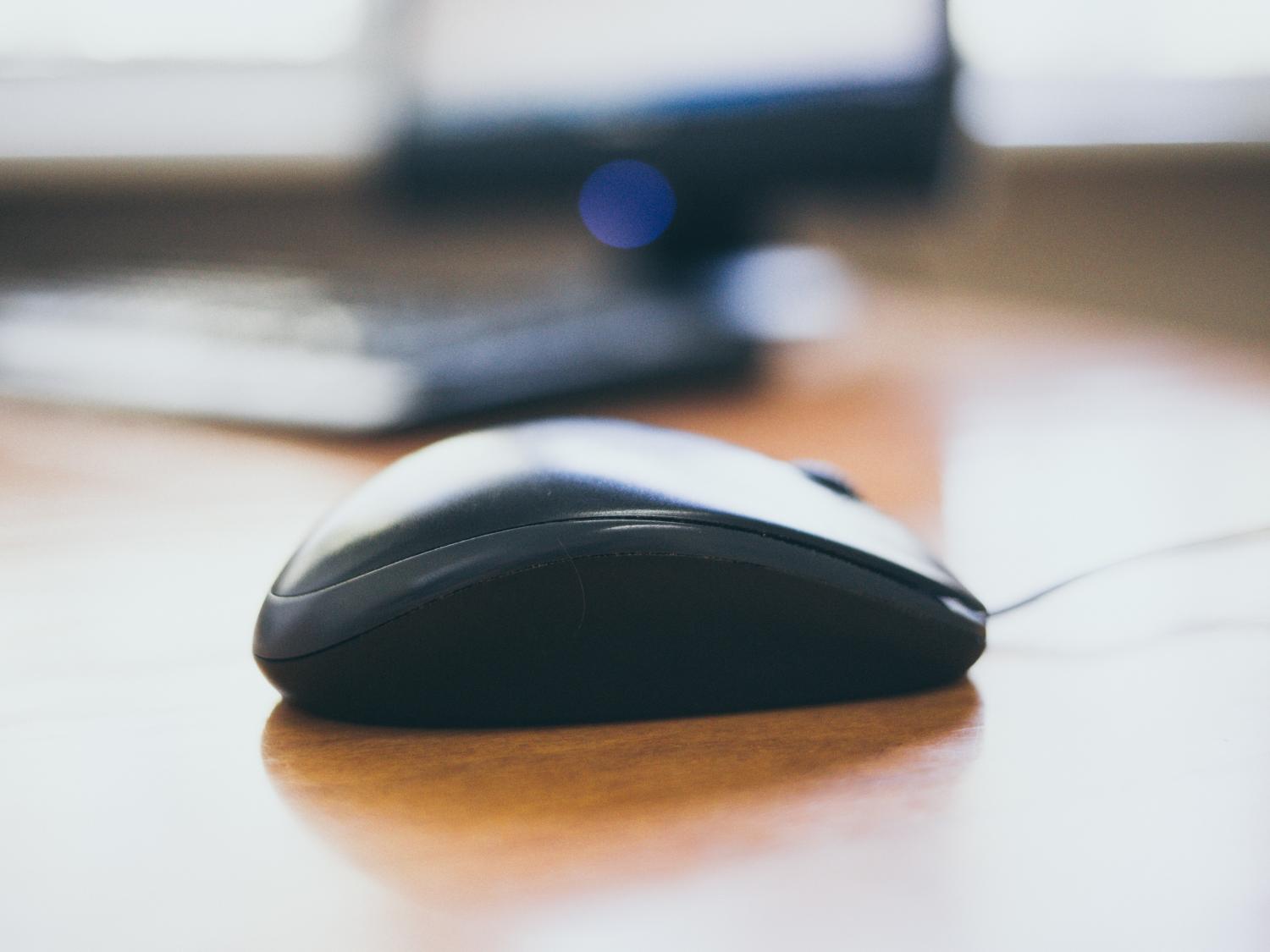 computer mouse