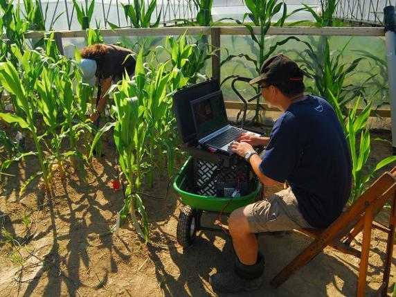 Roots Lab