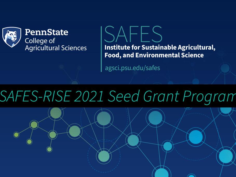 SAFES-RISE 2021 Seed Grant Program