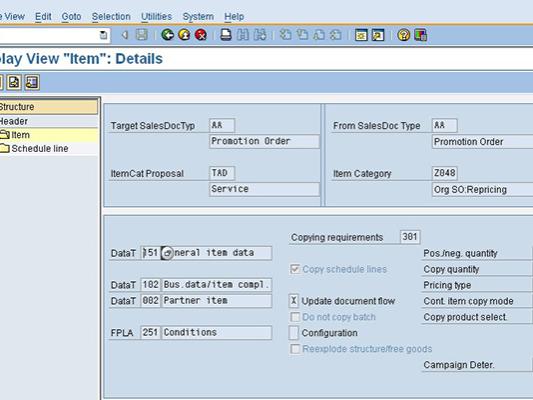 sample screen shot of SAP software