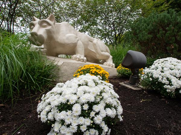 Lion Shrine with flowers in foreground. 