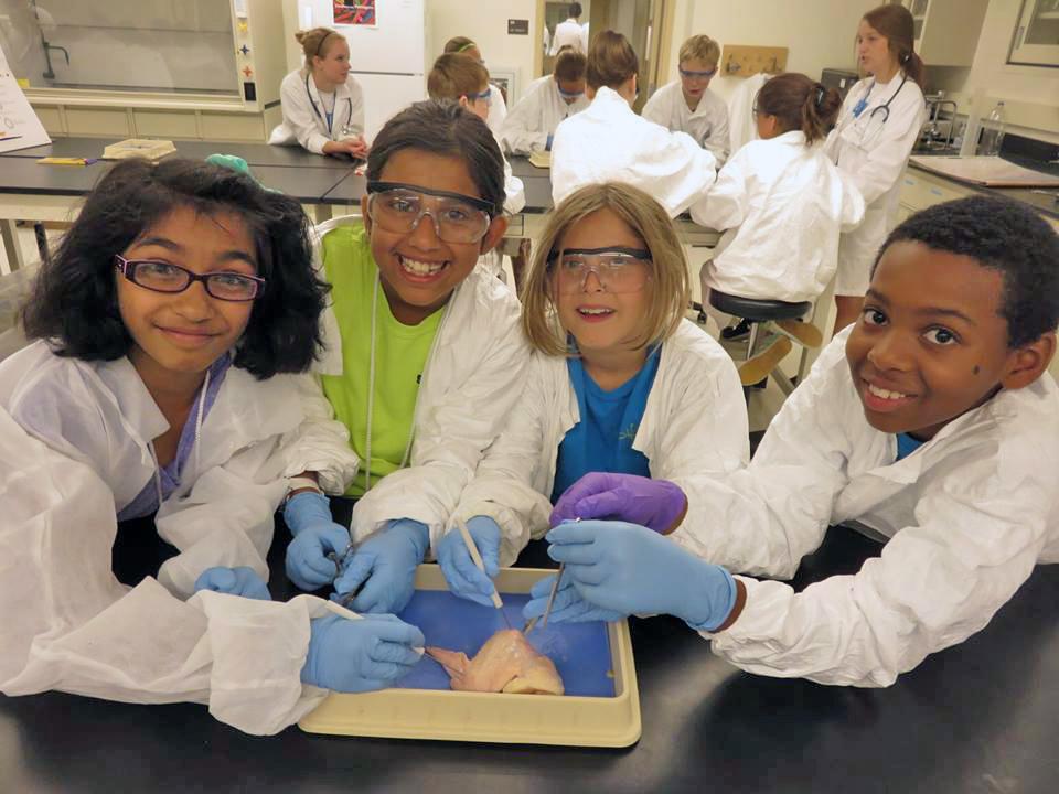 Science-U Summer Camps