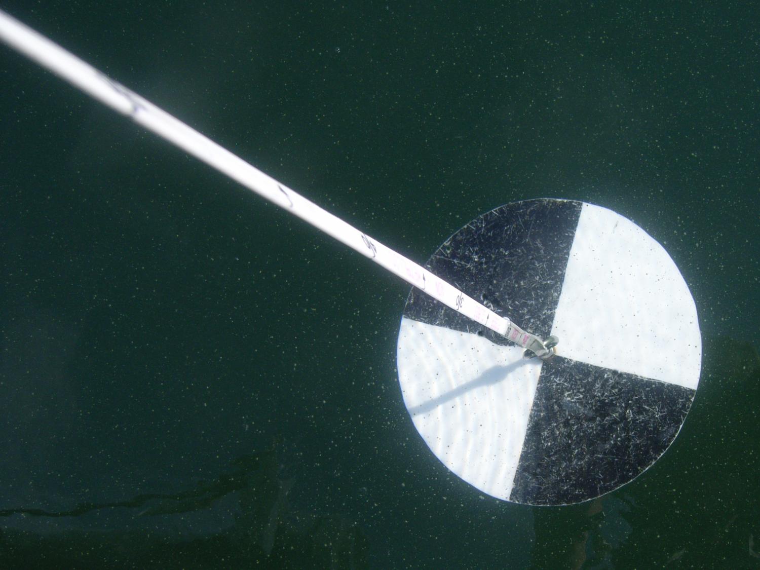 water clarity measuring device