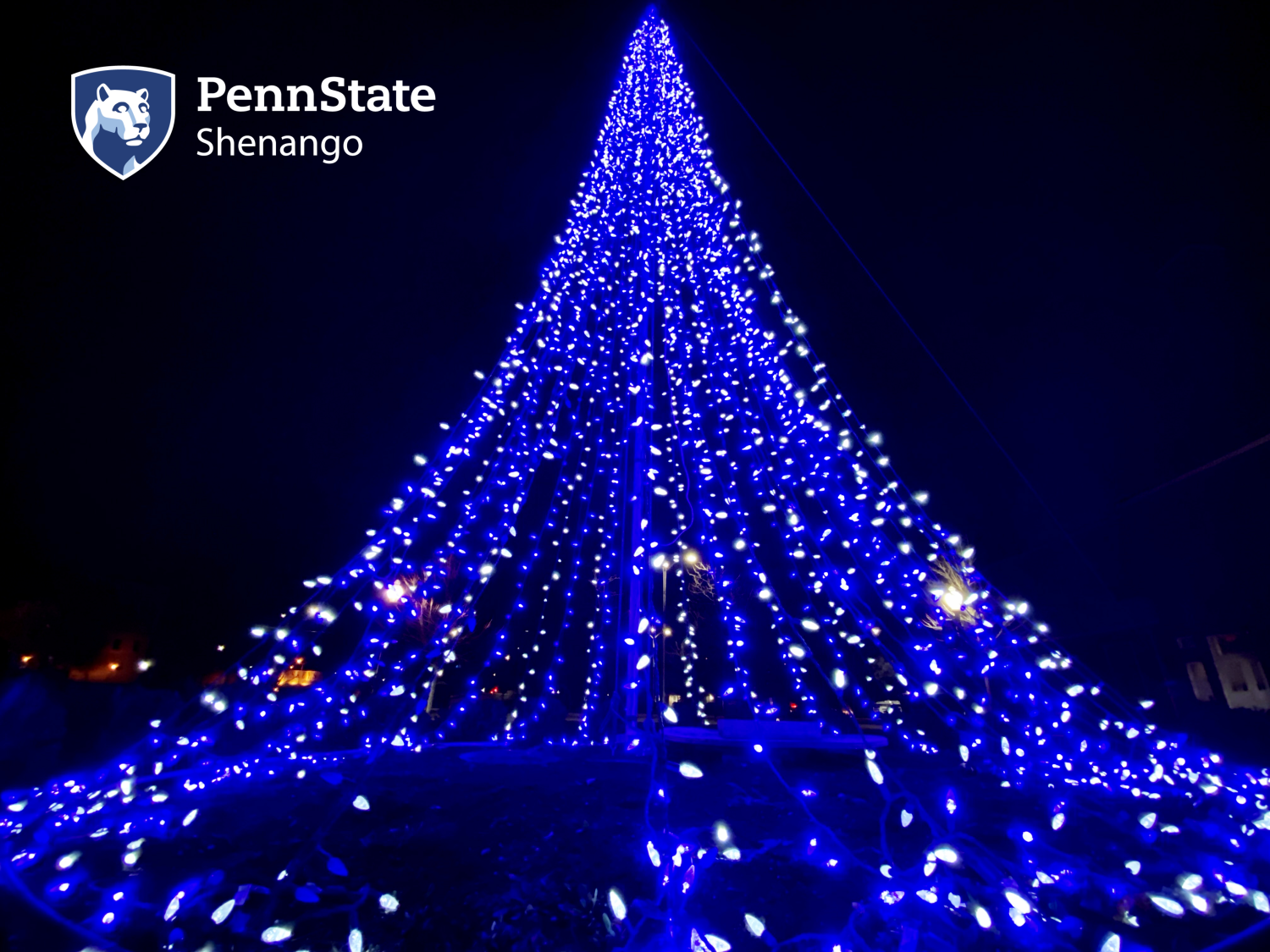 Penn State Shenango tree