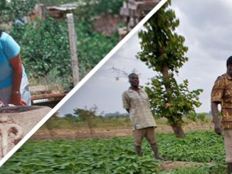 Peace Corps Coverdell Fellows program
