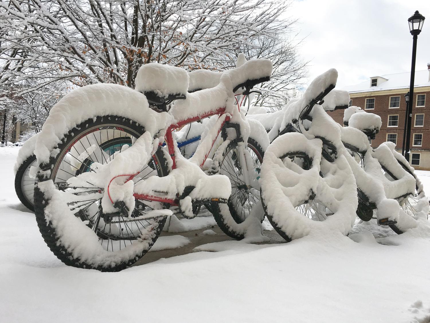 Bikes covered in snow at West Halls
