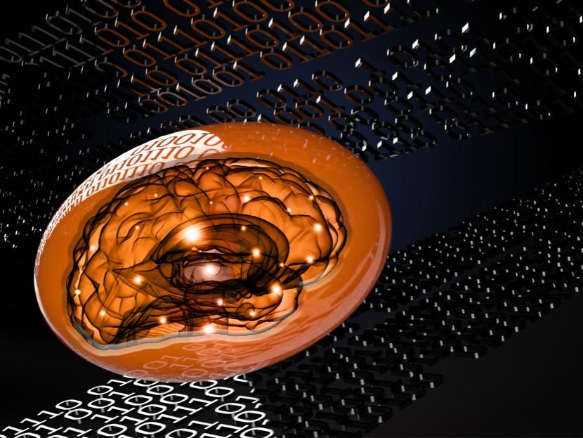 soft metamaterial in binary code