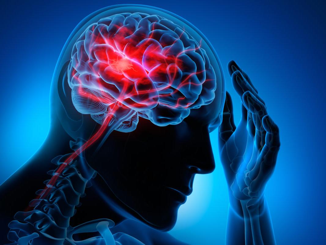 A graphic depicting a person putting their left hand to their head, in which there is a tri-color depiction of a brain.