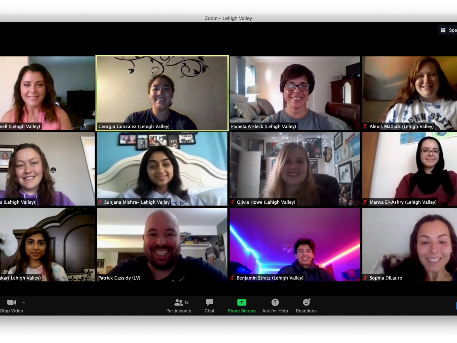 zoom screen of twelve people