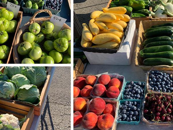 Green tomatoes, cauliflower, cabbage, peaches, blueberries, cherries, and squash. 