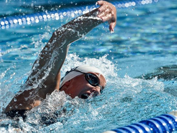 Swimming and Diving Scholar All-America 2016