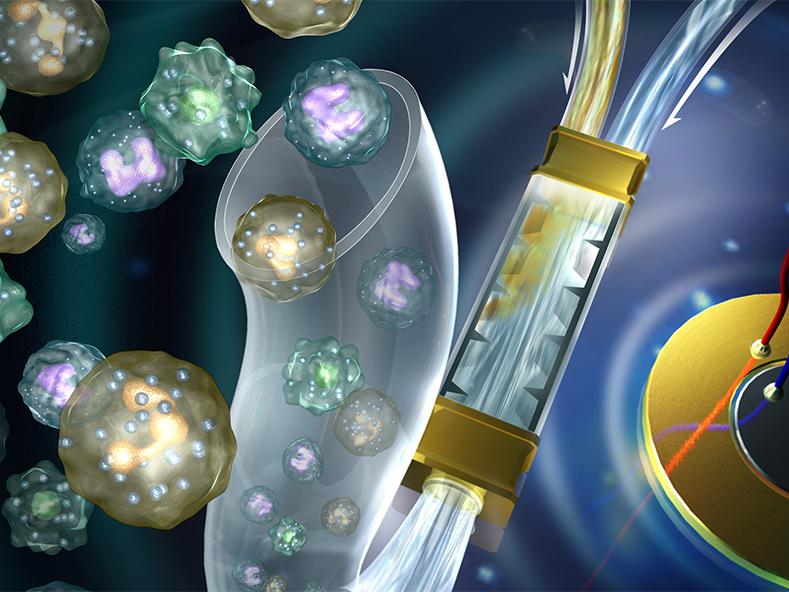 An artist conception of an accoustofluidic sputum liquefaction device