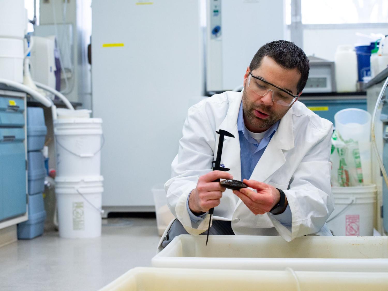Photo of Nathaniel Warner measuring a freshwater mussel in the lab