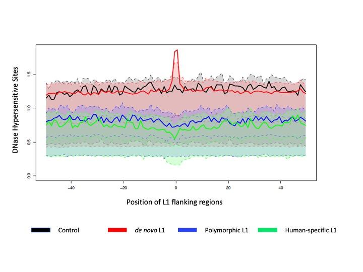 L1 jumping genes graphic
