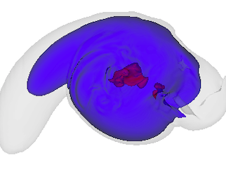 blue blobs representing neutron stars merge, with red dots in the middle