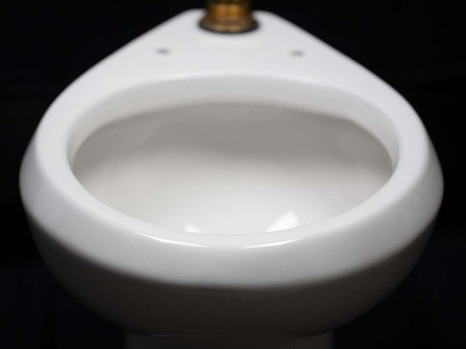 A toilet bowl
