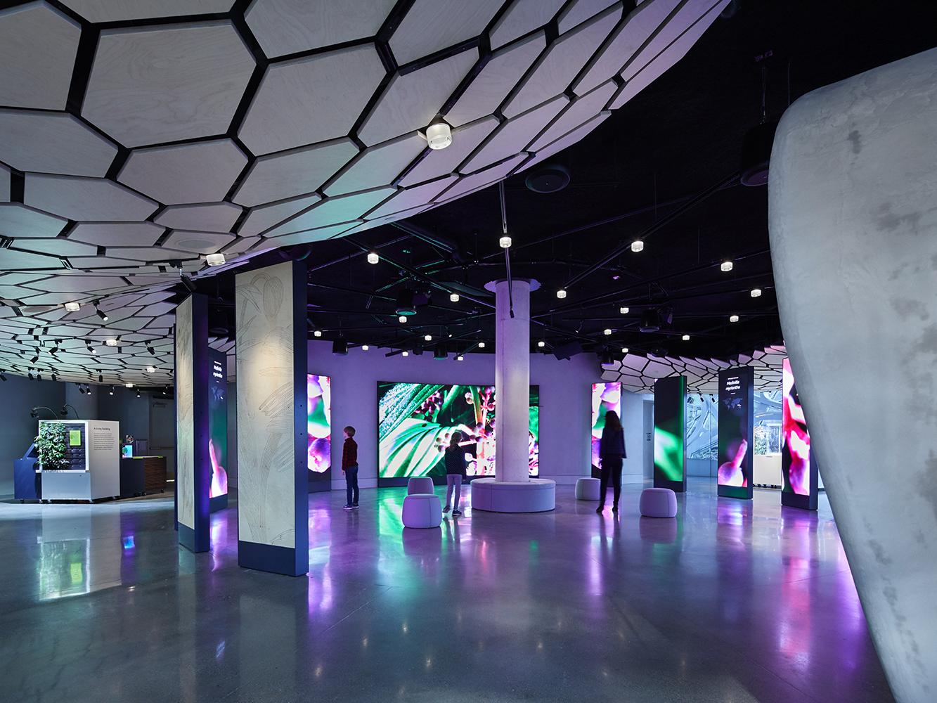 Understory at The Spheres: Immersive Visitor Experience at Amazon’s downtown Seattle headquarters