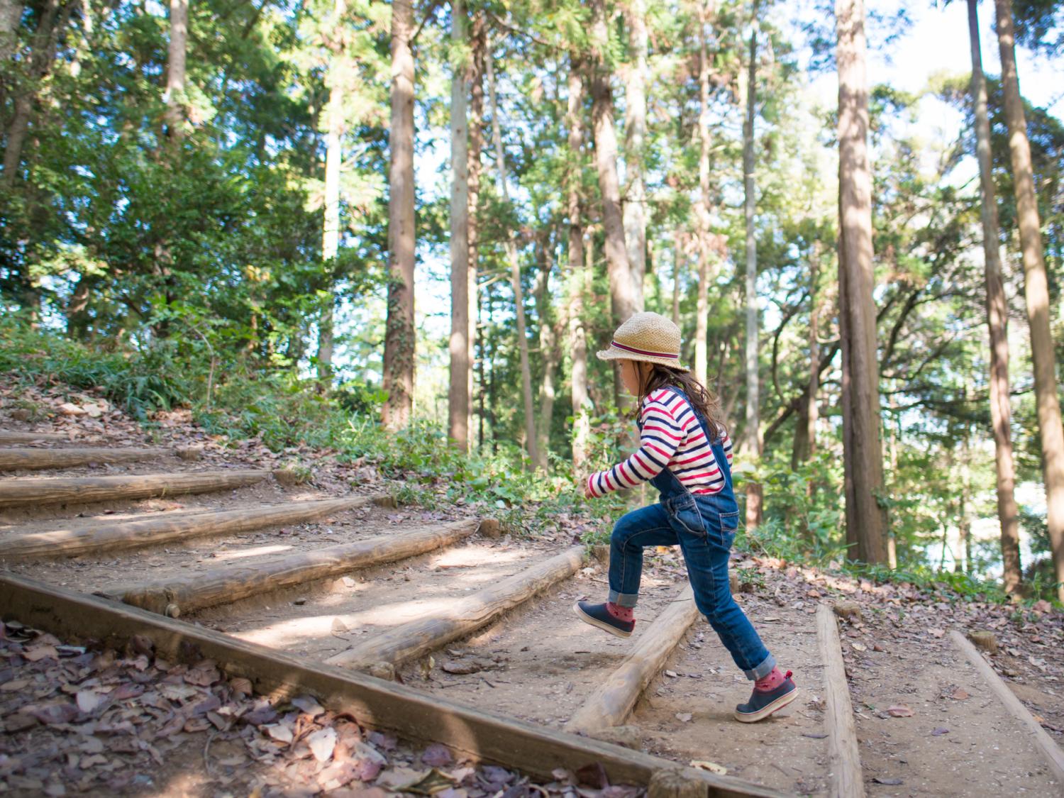 stairs in woods