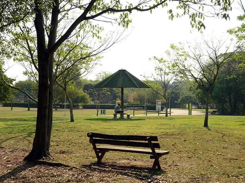 community trees