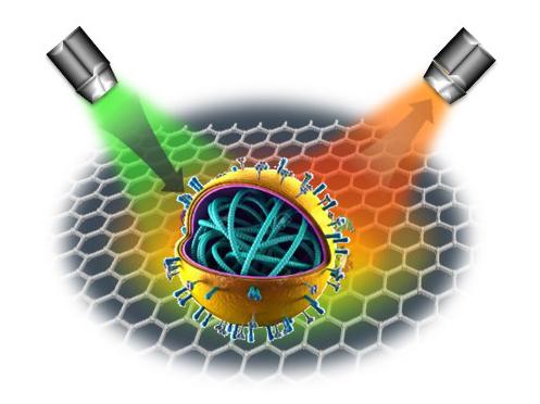 virus trapped in a grid with 2 probes