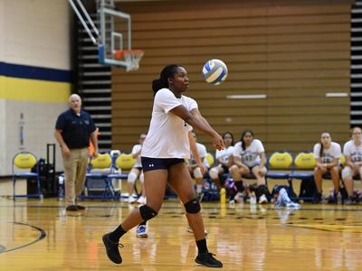 woman playing volleyball